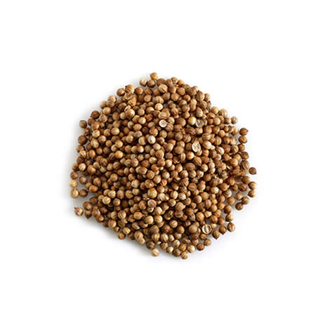 coriander