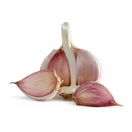 Garlic clove