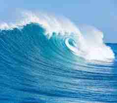 Ocean Fragrance <br> 海洋