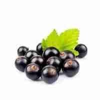 Blackcurrants