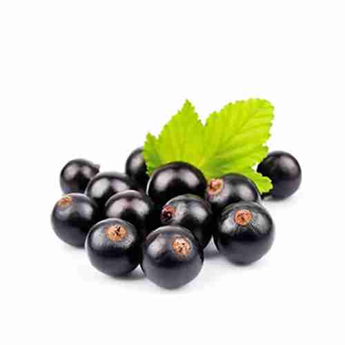 Blackcurrants
