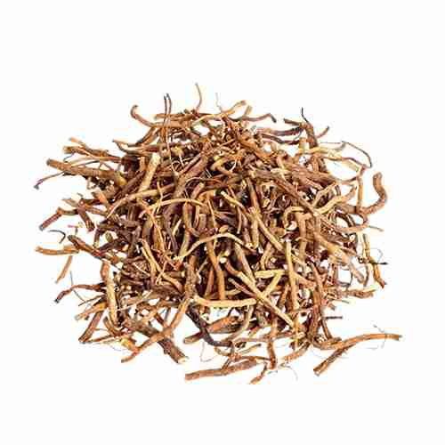 Valerian Root